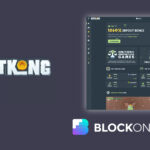 BitKong Review: The Anonymous, No KYC Crypto Casino, Is it Legit?