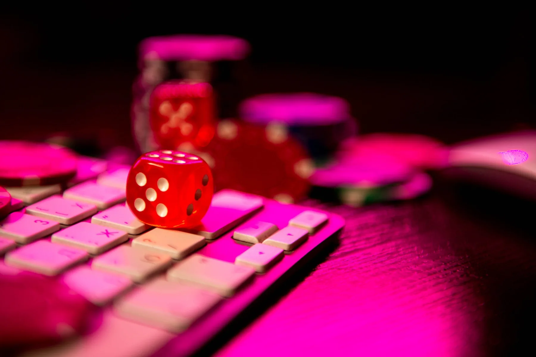 Exploring the Exciting World of Ricky Casino: A Comprehensive Guide